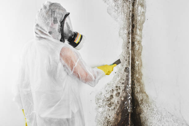 Water Damage Restoration in Albany, CA