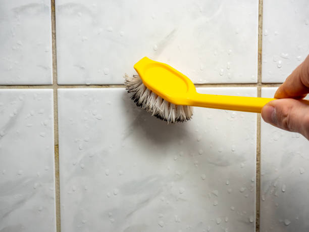 Best Certified Mold Removal  in Albany, CA