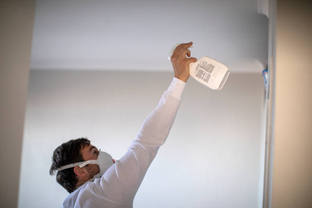 Best Office Mold Removal Services  in Albany, CA